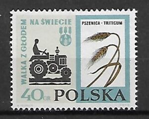 FI.1223** WZÓR 7 GWARANCJA J. WALOCHA