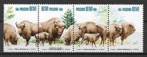 FI.2608-2611**KOMBINACJE