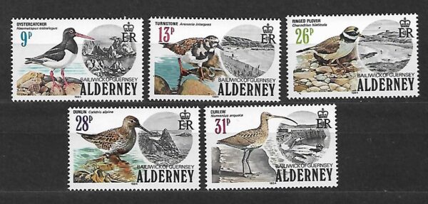 PTAKI ALDERNEY MI.13-17**
