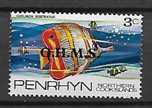 RYBY PENRHYN MI.3**