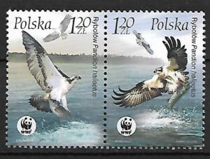 FI.3931-3932**KOMBINACJA