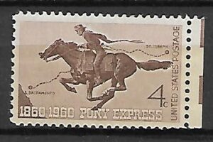 KOŃ EKSPRESOWY USA MI.784**