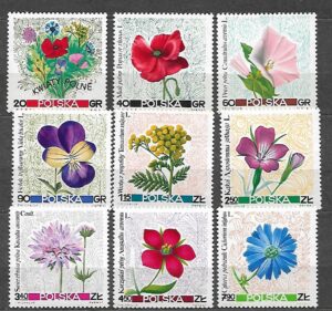 FI.1634-1642**