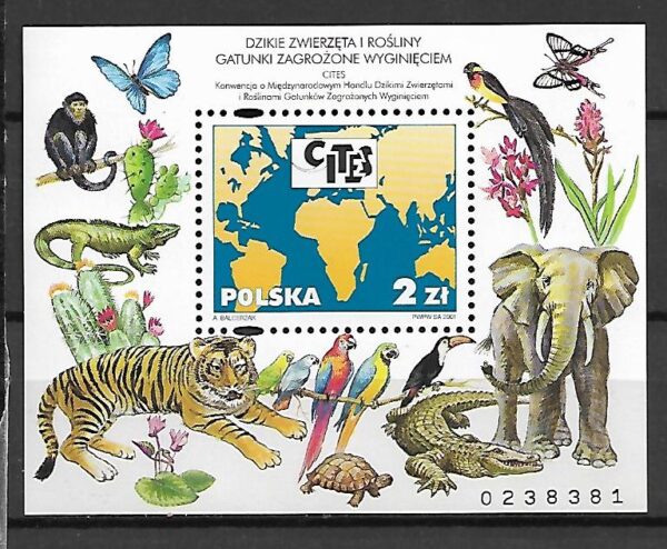 FI.BL.174**