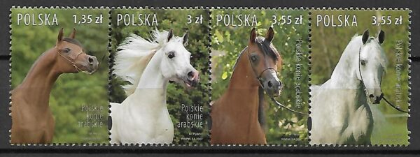FI.4173-4176**PASEK