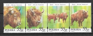 FI.3481-3484**PASEK
