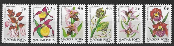 ORCHIDEA WĘGRY MI.3922-3927**