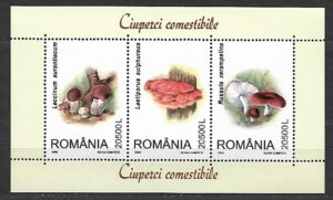 GRZYBY RUMUNIA MI.BL.333**