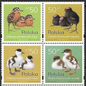 FI.3540-3541**KOMBINACJA