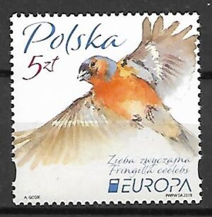 FI.4954**