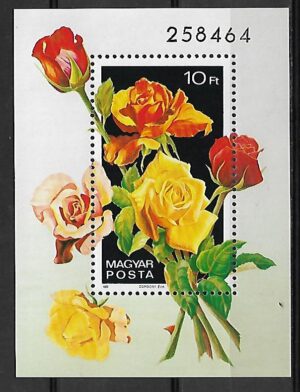 RÓŻE WĘGRY MI.BL.156A**
