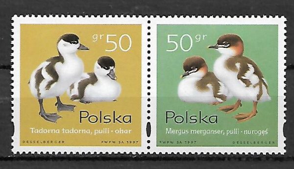 FI.3538-3539**KOMBINACJA