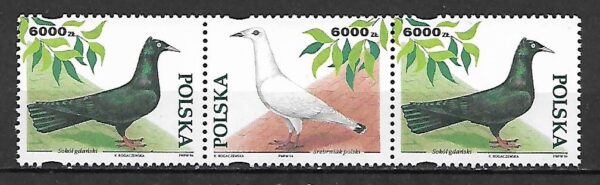 FI.3366-3365-3366**KOMBINACJA