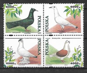 FI.3366-3363**KOMBINACJA