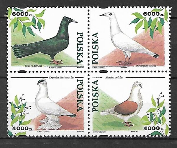 FI.3366-3363**KOMBINACJA