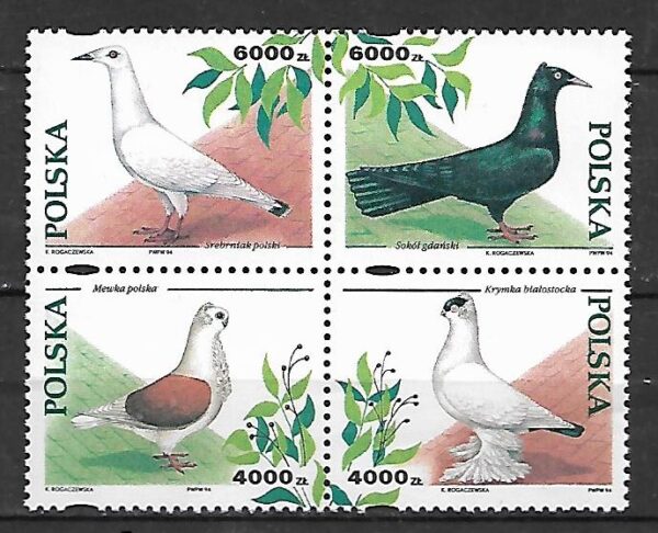 FI.3365-3364**CZWORO BLOK