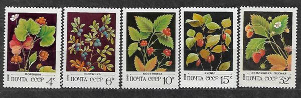 OWOCE LEŚNE ZSRR MI.5155-5159**
