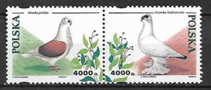FI.3363-3364**KOMBINACJA