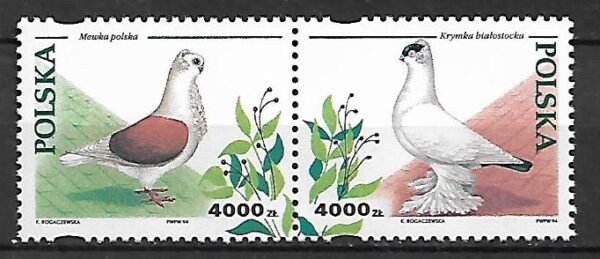 FI.3363-3364**KOMBINACJA