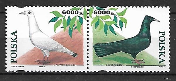 FI.3365-3366**KOMBINACJE