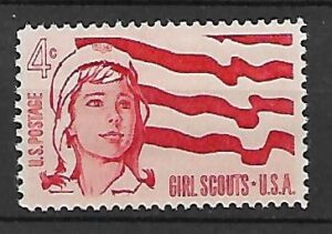 SKAUTING USA MI.829**
