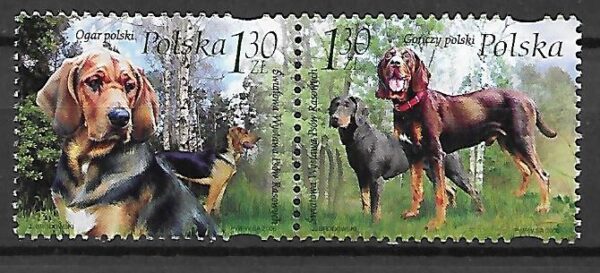 FI.4126-4127**KOMBINACJA