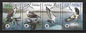 FI.3929-3932 PASEK KASOWANY