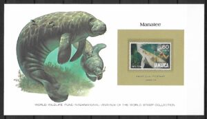 KROWA MORSKA JAMAJKA KOLEKCJA ZWIERZĄT ŚWIATA NA KARCIE