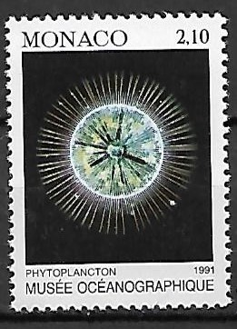 PLANKTON MONAKO MI.2002**
