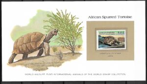 ŻÓŁW LIBIA KOLEKCJA ZWIERZĄT ŚWIATA NA KARCIE