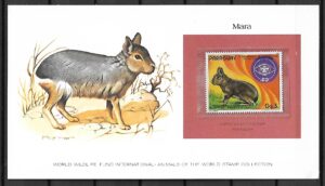 MARA PARAGWAJ KOLEKCJA ZWIERZĄT ŚWIATA NA KARCIE