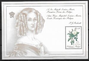 RÓŻA BELGIA MI.BL.60**