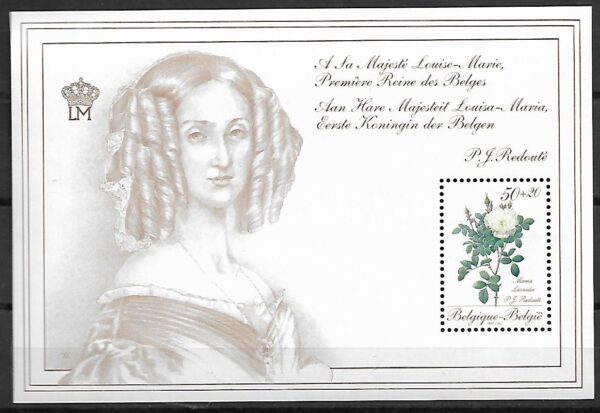 RÓŻA BELGIA MI.BL.60**