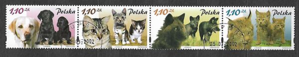 FI.3810-3813 PASEK KASOWANY