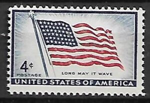 FLAGA USA MI.716**