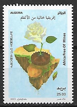 RÓŻĄ  ALGERIA **2023 R