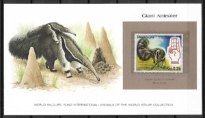 MRÓWKOJAD WIELKI PARAGWAJ KOLEKCJA ZWIERZĄT ŚWIATA NA KARCIE