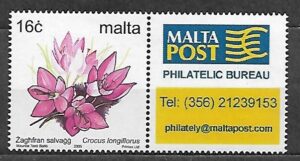 KWIATY MALTA MI.1102IIC**