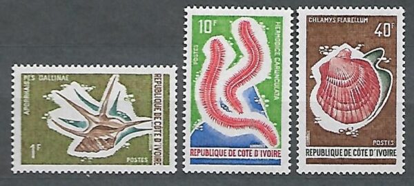 MUSZLE WYBRZEŻE KOŚCI SŁONIOWEJ MI.391-393**