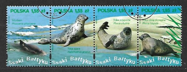 FI.4283-4286 PASEK KASOWANY