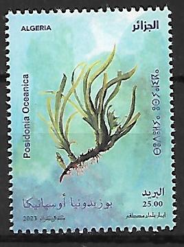 ROŚLINY ALGERIA **2023 R