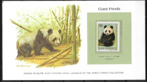 MIŚ PANDA WĘGRY KOLEKCJA ZWIERZĄT ŚWIATA NA KARCIE