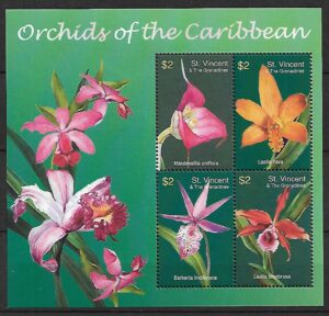 ORCHIDEE ST. VINCENT MI.ARK.5964-5967**