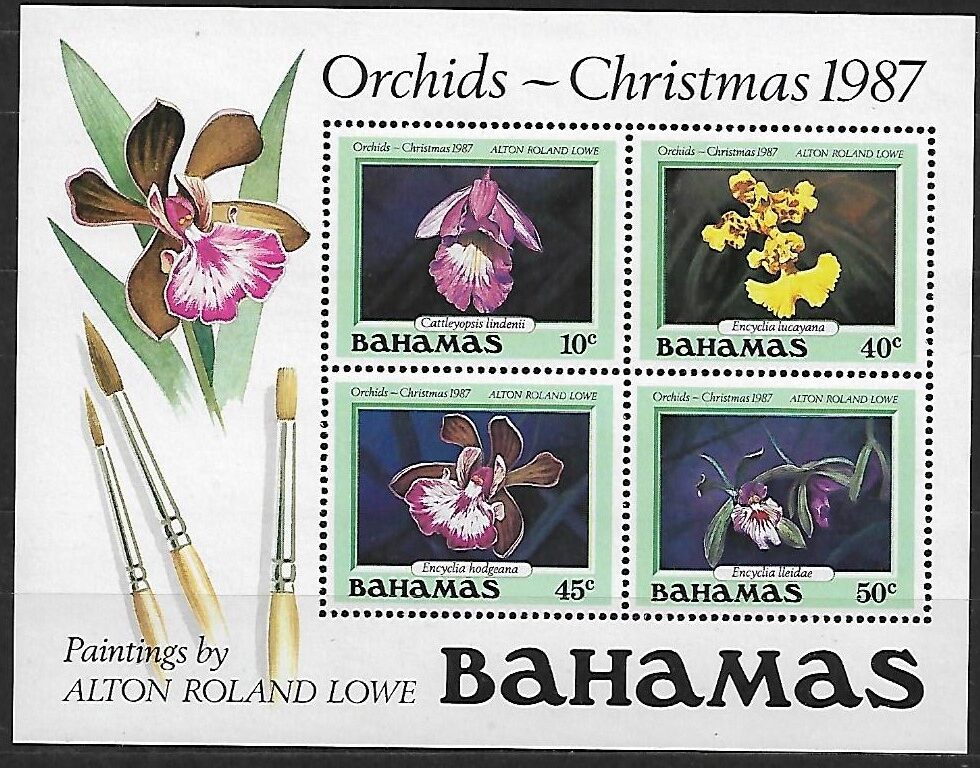 KWIATY BAHAMY MI.BL.52**