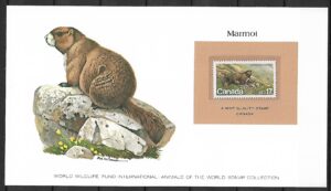 ŚWISTAK KANADA KOLEKCJA ZWIERZĄT ŚWIATA NA KARCIE