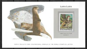 WYDRA RZECZNA WĘGRY KOLEKCJA ZWIERZĄT ŚWIATA NA KARCIE