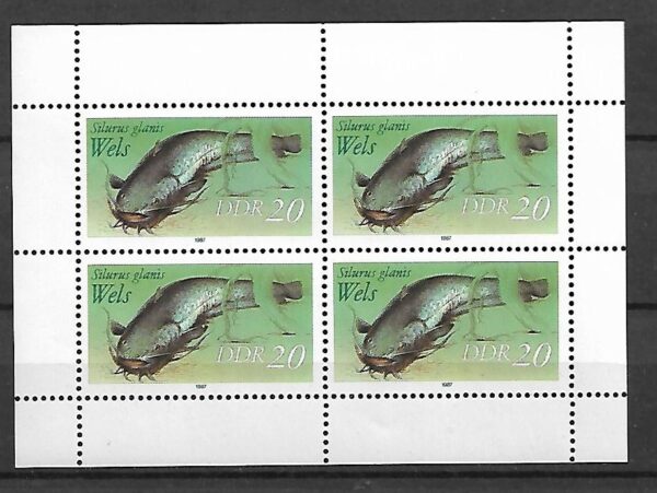 RYBY DDR MI.ARK.3097**