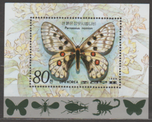 MOTYL KOREA MI.BL.245**