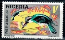 PTAK NIGERIA MI.183** LUZAK