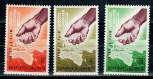 WALKA Z GŁODEM BURUNDI MI.48-50A**
